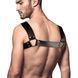 Мужская портупея на грудь из натуральной кожи Feral Feelings - Bulldog Harness Black &mdash; фото 2 из 3