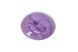 Вібратор для пар FairyGasm PleasureBerry violet, зарядний кейс, пульт ДК &mdash; фото 4 з 12