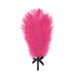 Романтический набор Rianne S: Kit d'Amour: вибропуля, перышко, маска, чехол-косметичка Black/Pink SO3871 фото 3