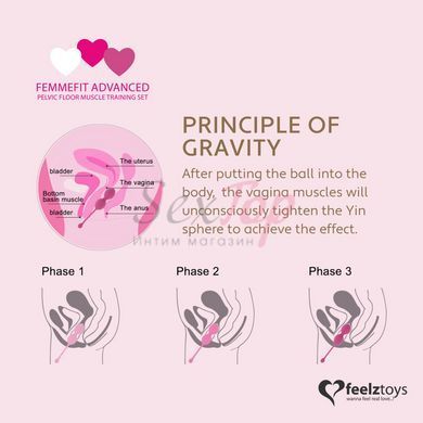 Набір вагінальних кульок для просунутих FeelzToys - FemmeFit Advanced Pelvic Muscle Training Set - фото товару 4