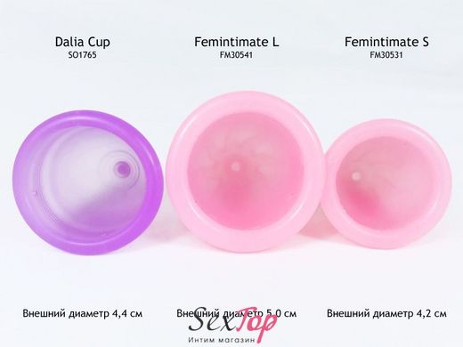 Менструальна чаша Femintimate Eve Cup розмір S з переносним душем, діаметр 3,2 см FM531 фото