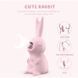 Вакуумный клиторальный вибратор белый Cnt Kissing Bunny &mdash; фото 5 из 8