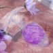 Анальна пробка Liebe Seele Icecream-shaped Crystal Anal Plug - Purple Medium &mdash; фото 4 з 5