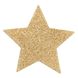 Пэстис - стикини Bijoux Indiscrets - Flash Star Gold, наклейки на соски SO2340 фото 2