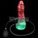 Надувний фалоімітатор монстра Dual Density Silicone Inflatable Dildo 10 &mdash; фото 12 з 20