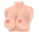 Мастурбатор-груди Kokos Bouncing Titties D SO1261 фото 1