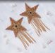 Пестис-зірки з бахромою JSY Nipple Sticker RT236112 Gold, стікери SO9279 фото 1