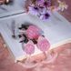 Анальна пробка Liebe Seele Icecream-shaped Crystal Anal Plug - Pink Small &mdash; фото 4 з 4