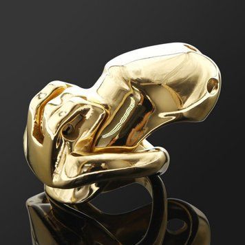 Пояс верности на член мужской Gold Standless Steel HTV3 Nano золотистый &mdash;  фото товара 1