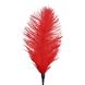 Щекоталка со страусиным пером Art of Sex - Feather Tickler, цвет Красный SO6999 фото 3