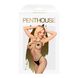 Бодістокінг у велику сітку Penthouse - Body Search Black S/L (м'ята упаковка!!!) SO4408-R фото 3