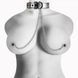 Ошейник БДСМ с зажимами для сосков серебристого цвета Lovetoy &mdash; фото 2 из 2