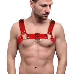 Мужская портупея на грудь Feral Feelings - Bulldog Harness Red Trasparent SO9306 фото