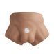 Полуторс с фаллоимитатором на присоске SilexD Apollo S Male Torso Caramel &mdash; фото 2 из 7