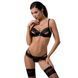 Комплект білизни Passion Exclusive NORTH SET S/M, black, ліф и трусики з елементами під латекс &mdash; фото 1 з 7