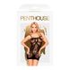 Мини-платье сетка Penthouse - Above & Beyond Black XL SO5228 фото 3
