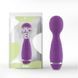 Вибратор-микрофон фиолетового цвета Cnt Intimate Dual Pleasure &mdash; фото 1 из 3