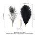 Лоскітка LOCKINK SEVANDA Natural Peacock Flirting Feather Tickler, перо павича &mdash; фото 5 з 9