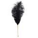 Лоскітка LOCKINK SEVANDA Natural Peacock Flirting Feather Tickler, перо павича &mdash; фото 3 з 9