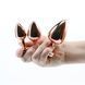 Набор анальных пробок NS Novelties Rear Assets - Trainer Kit - Rose Gold - Pink Heart &mdash; фото 2 из 4
