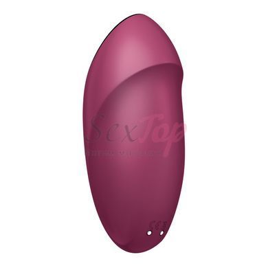 Вибратор Satisfyer Tap & Climax 1 Red &mdash;  фото товара 5