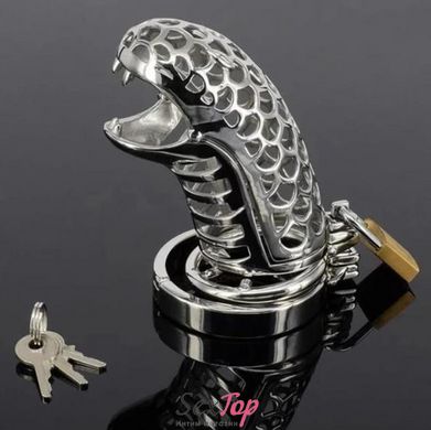 Металлический пояс верности Cobra пасть кобры, красивый STF2719 фото